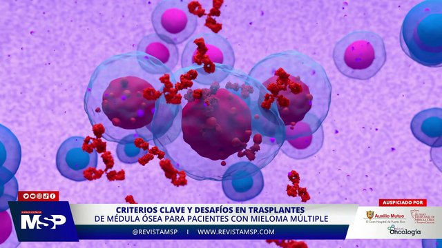 Criterios clave y desafíos en trasplantes de médula ósea