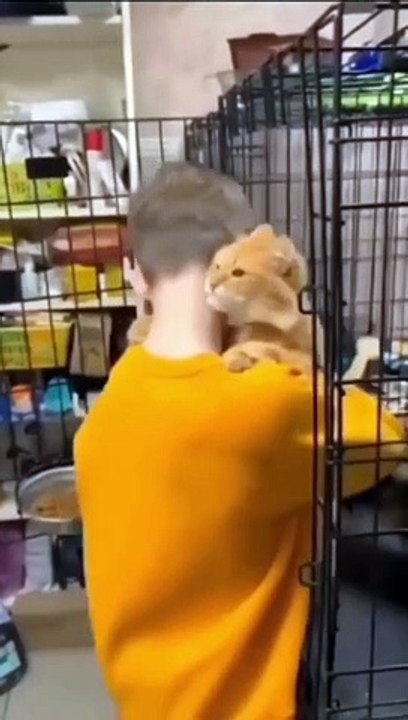 When a cat adopts you