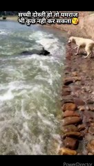 Project_09-16_Full HD 1080p_MEDIUM_FR30