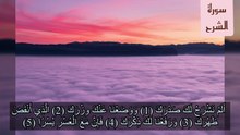 سورة الشرح محمود كمال
