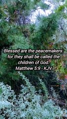 Blessed are the peacemakers: for they shall be called the children of God.Matthew 5:9 - KJV