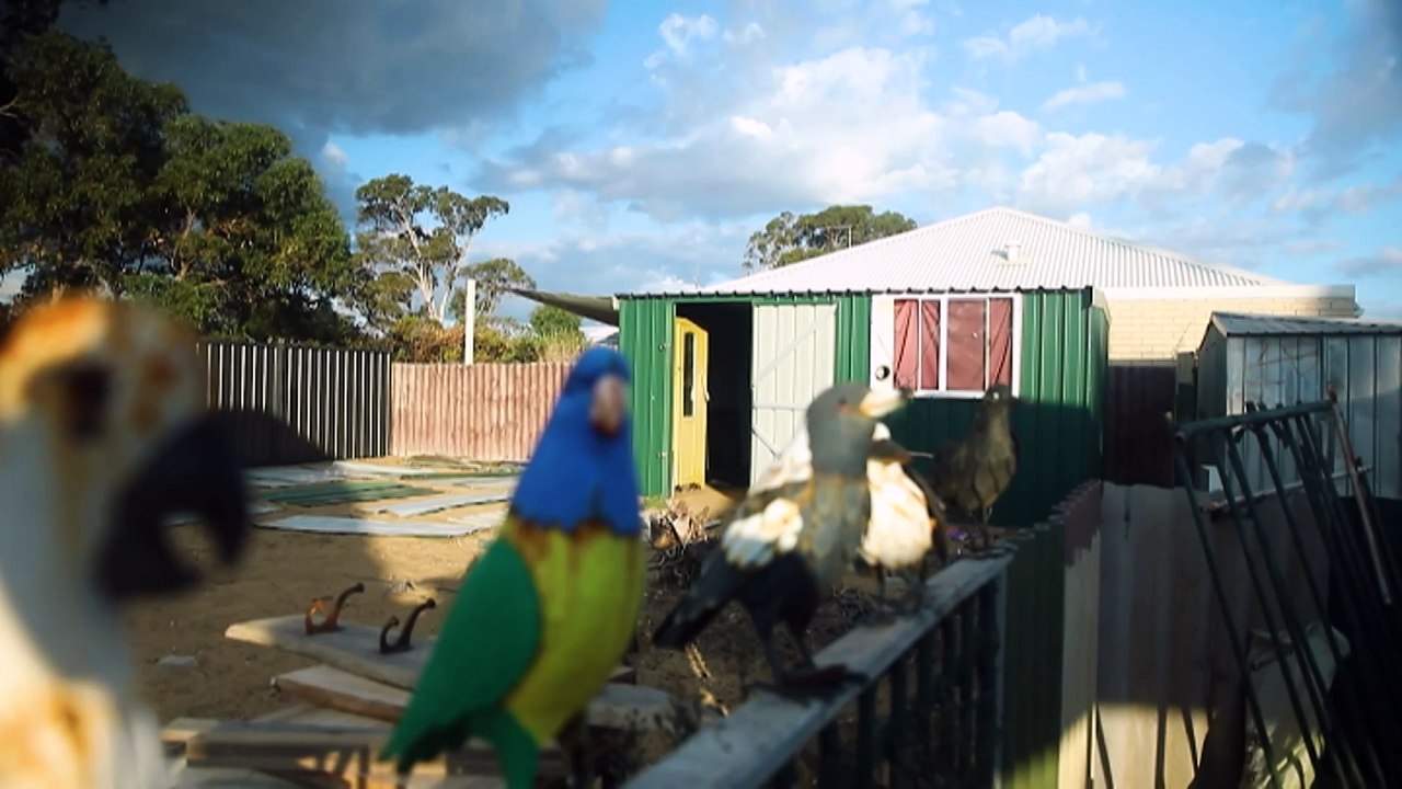 Calls for government departments to work with families after suicide linked to public housing rejection