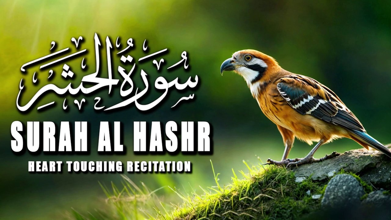 Surah Al Hashr (Be Heaven) سورة الحشر |  Must Listen! Heart Touching Quran Recitation |Tilawat |Quran