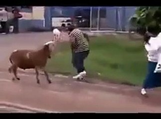 VIDIIO LUCU FANY AND KOMEDI