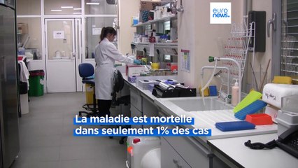 Des chercheurs travaillent à l'élaboration d'un vaccin contre le virus du Nil Occidental