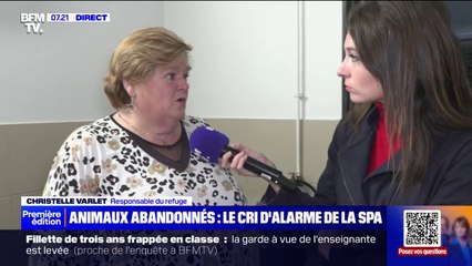 "Ils n'ont plus d'argent pour les nourrir": une responsable d'un refuge pour animaux témoigne d'une hausse des abandons