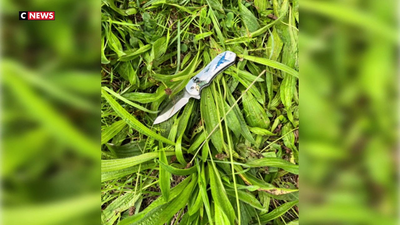 Pas-de-Calais : Ecoutez le témoignage d'un des 3 chasseurs traumatisé, après avoir été attaqué par des dizaines de migrants avec des barres de fer et des armes blanches