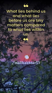 Quot Of The Day | Daily Inspiration | Daily Quote | Motivational Quotes