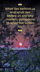 Quot Of The Day | Daily Inspiration | Daily Quote | Motivational Quotes