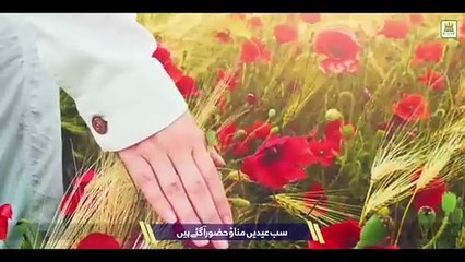 New Rabiulawal Title Naat 2024 Falaq ke Nazaro Laiba Fatima Lyrical video