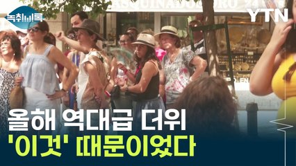 우리나라도 유럽도 기록적 더위로 '몸살'...'이것' 때문  [Y녹취록] / YTN