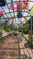 Santosa Stable dan Park Wisata yang Menyajikan Banyak wahana, Spot Foto dan Lainnya