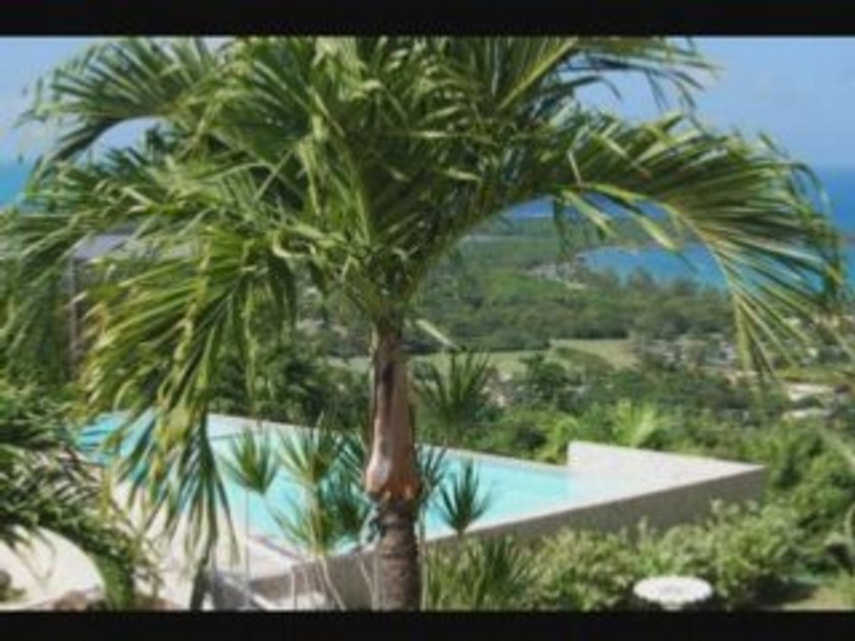 DJTC Flashback - Tommy Colon Baby pix and recent pix ...