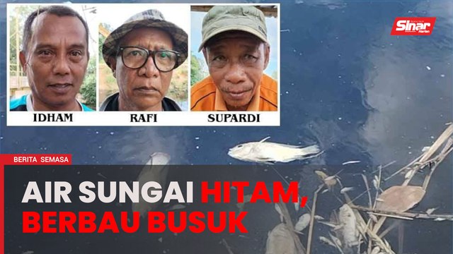 Ikan mati: Penduduk bimbang keadaan Sungai Rinting