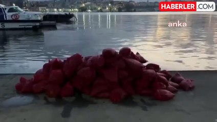 Kadıköy'de Yasaklı Bölgeden Kaçak Midye Avcıları Yakalandı