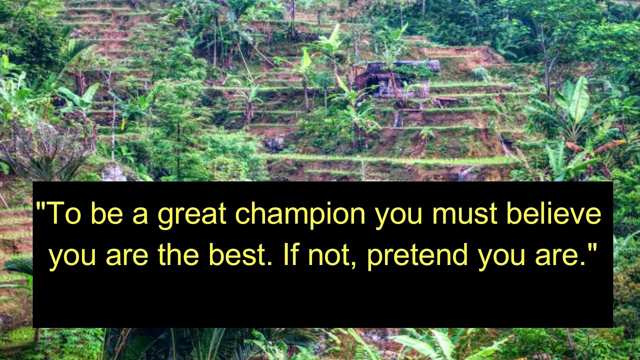 "Fighting for More Than Glory: The Life and Legacy of Muhammad Ali"@green mountain