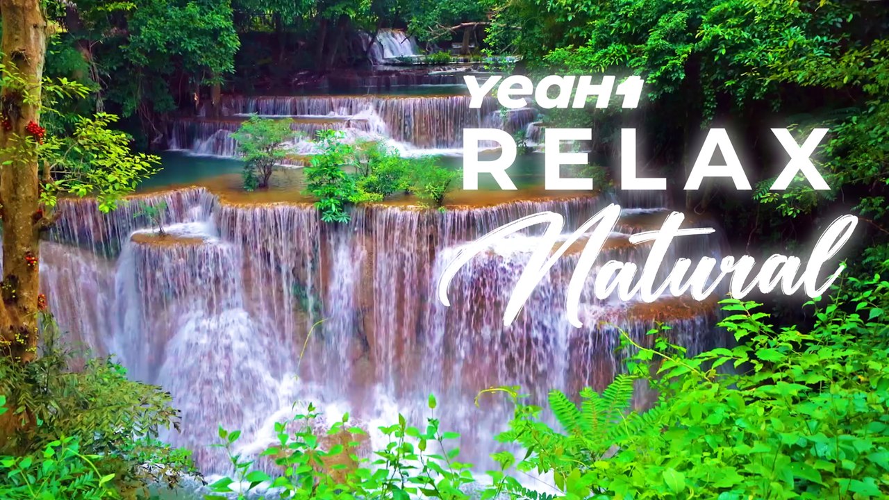 Escape To Nature: Soothing Music With Forest Ambience | YeaH1 Relax Natural