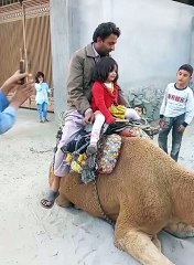 camal funny ............. pakistan