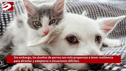 Los dueños de gatos son más solitarios y ansiosos