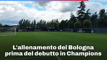L'allenamento del Bologna prima del debutto in Champions