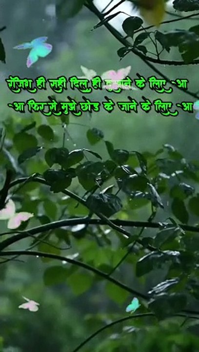 Best Hindi Shayari for Love  Heartfelt Poems for Couples