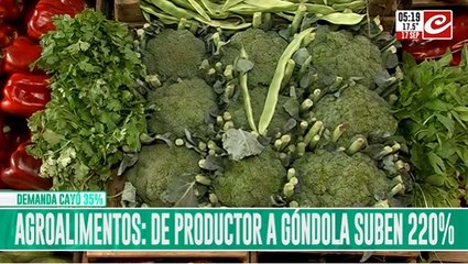 Del campo a la góndola las verduras se encarecen en un 220 %