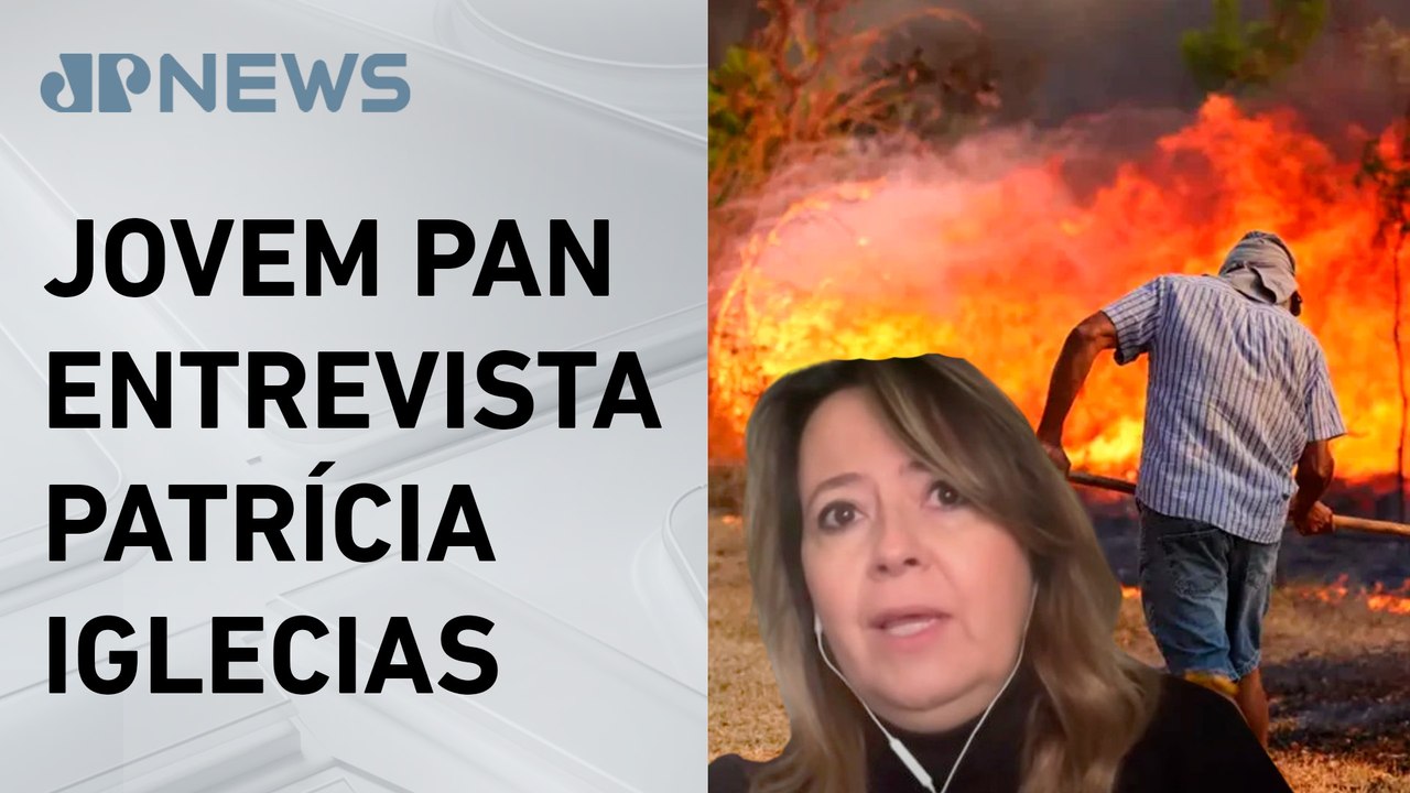 Lula deve anunciar medidas contra queimadas; superintendente de gestão ambiental da USP comenta