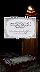 Best Quotes #shorts #shortvideo #shortsfeed #short #shortsviral #quran #video #viralvideo #islam