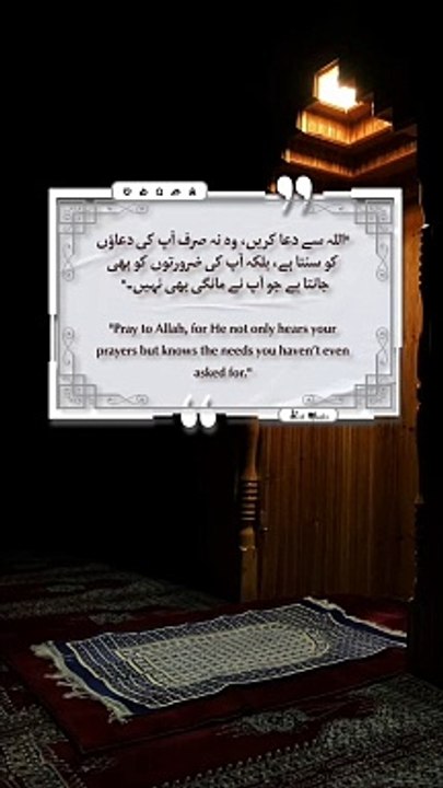 Best Quotes #shorts #shortvideo #shortsfeed #short #shortsviral #quran #video #viralvideo #islam