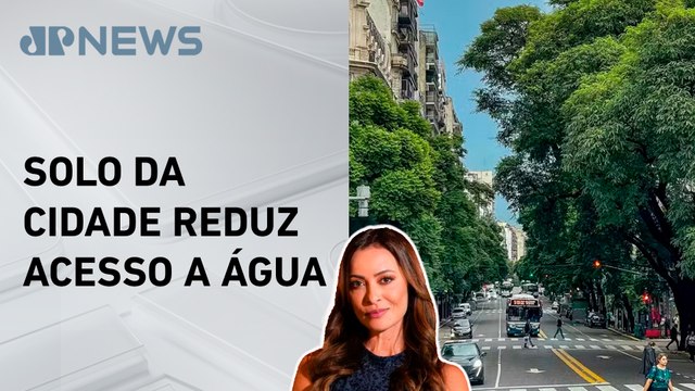 Árvores urbanas são mais afetadas pelo calor e seca; Patrícia Costa explica