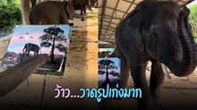ช้างธันวาวาดรูปเก่งมาก สวยไม่แพ้จิตรกรมืออาชีพ