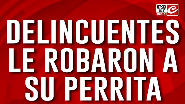Tremendo: lo asaltaron a mano armada y le robaron la mascota