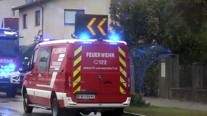 Hochwasser in Mittel- und Osteuropa: Trotz Regenrückgang weiterhin Alarm 🚨