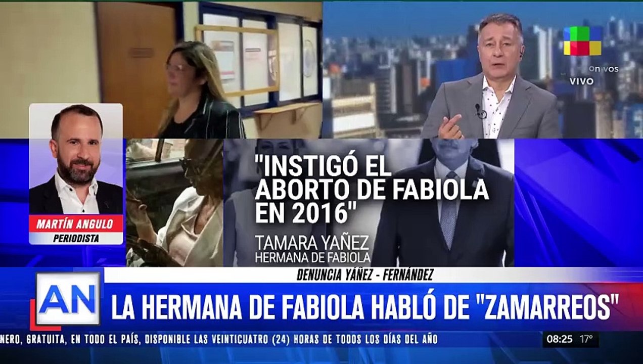 Causa de violencia de género: la hermana de Fabiola Yañez habló de "zamarreos"