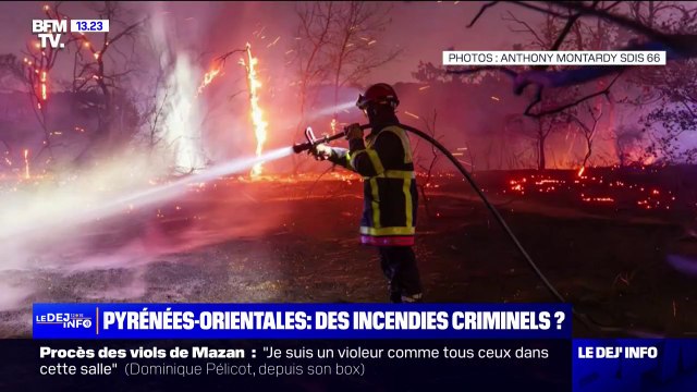 Des départs de feu en hausse dans les Pyrénées-Orientales, la piste criminelle envisagée