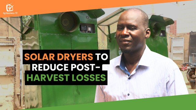 Niger: Solar dryers to reduce post-harvest losses