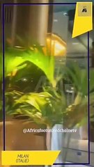 La Ligue des Champions Européenne #LDCUEFA reprend ses droits ce soir. #AfricaFootUnited est à Milan auprès deux équipes dans la capitale lombarde ⚽