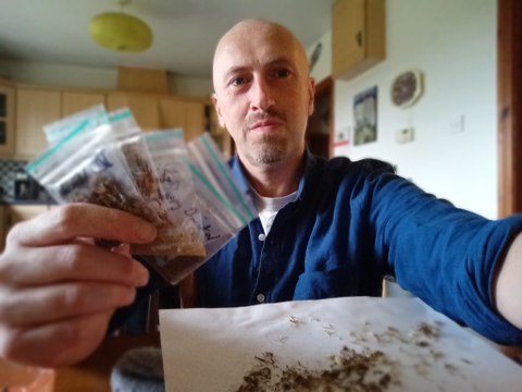 How to save money and get an early start with seed collection in Autumn: Gardening with Brendan