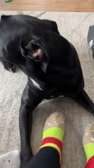 Voici ma nouvelle vidéo