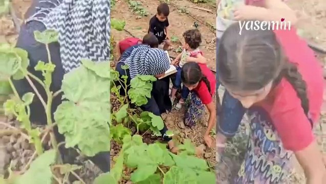 Bir taraftan bahçesi ile ilgilenen Gazzeli anne diğer taraftan çocuklarına Kur'an ezberletiyor!