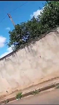Delegacia de Umuarama apura vídeo de motociclista mostrando a genital para pedestres