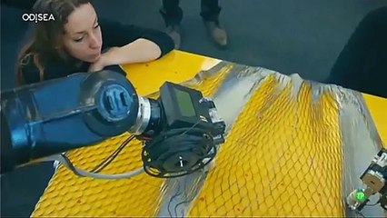 La Moda en 2050: Retos y Soluciones para Vestir a 9 Mil Millones de Personas