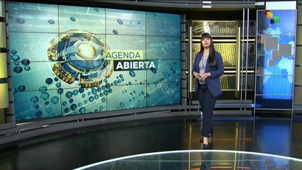 Brasil solicitó apoyo internacional para combatir incendios forestales