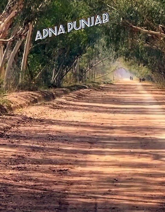 Sanjah punjab beautiful view of punjab so nice wonderful view of village