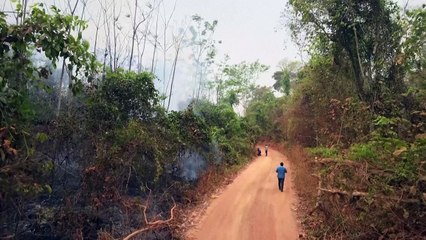 Forest fires continue to ravage Bolivia's lowlands
