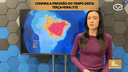 Previsão do tempo desta terça-feira (17)!