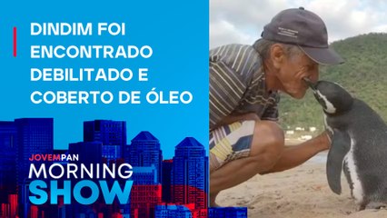 Homem SALVA um PINGUIM, GANHA AMIGO e vira FILME