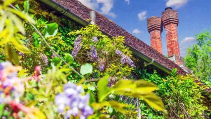 Churt former mill house for sale has "idyllic" grounds