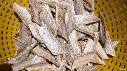 Sustainable and tasty — traditional dry fish makes comeback