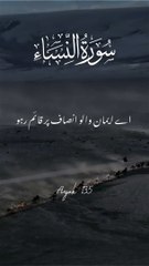 "Wisdom from the Quran | Short Ayah Reflection"   3. "Daily Quran Inspiration | Powerful Ayah in 60 Seconds"